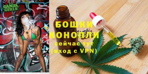 хмурый Богородск