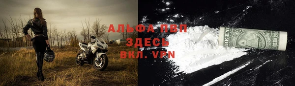 соль курить ск Богданович