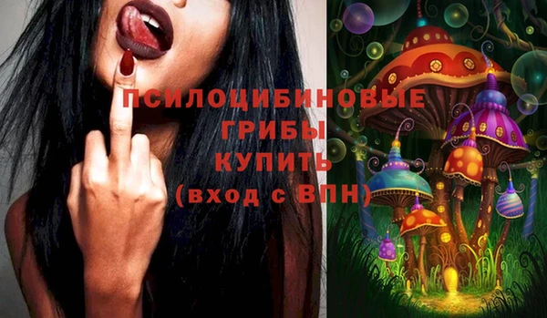хмурый Богородск