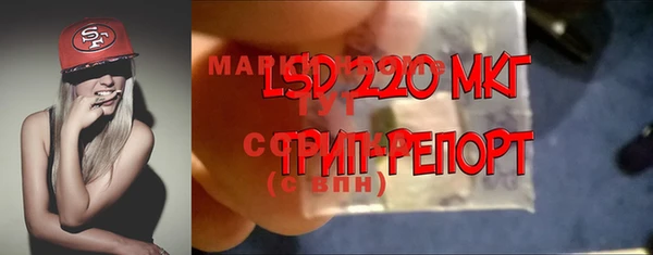 хмурый Богородск