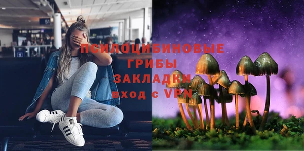 соль курить ск Богданович
