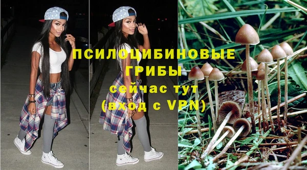 хмурый Богородск