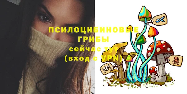 хмурый Богородск