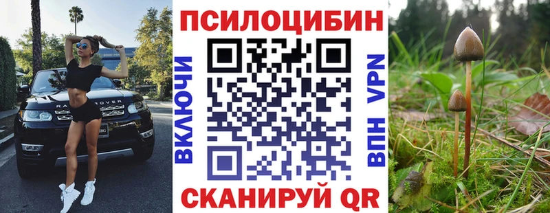 блэк спрут   Оха  Галлюциногенные грибы Psilocybine cubensis 